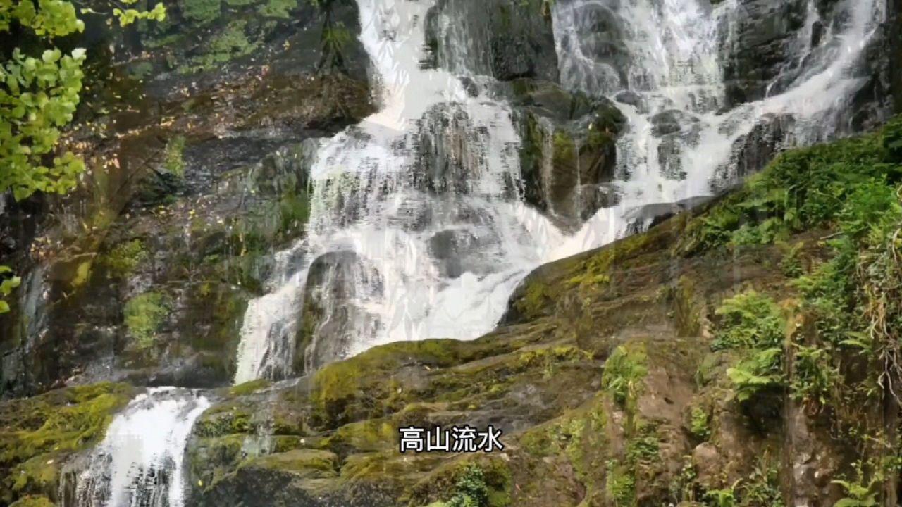 黄球大冒险